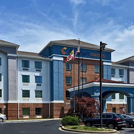 Elkridge Comfort Suites Columbia Gateway מראה חיצוני תמונה