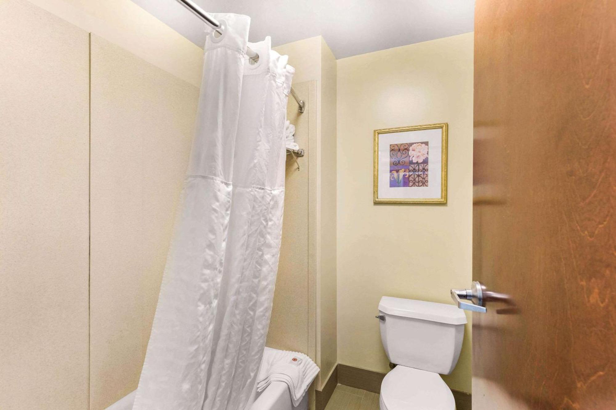 Elkridge Comfort Suites Columbia Gateway מראה חיצוני תמונה