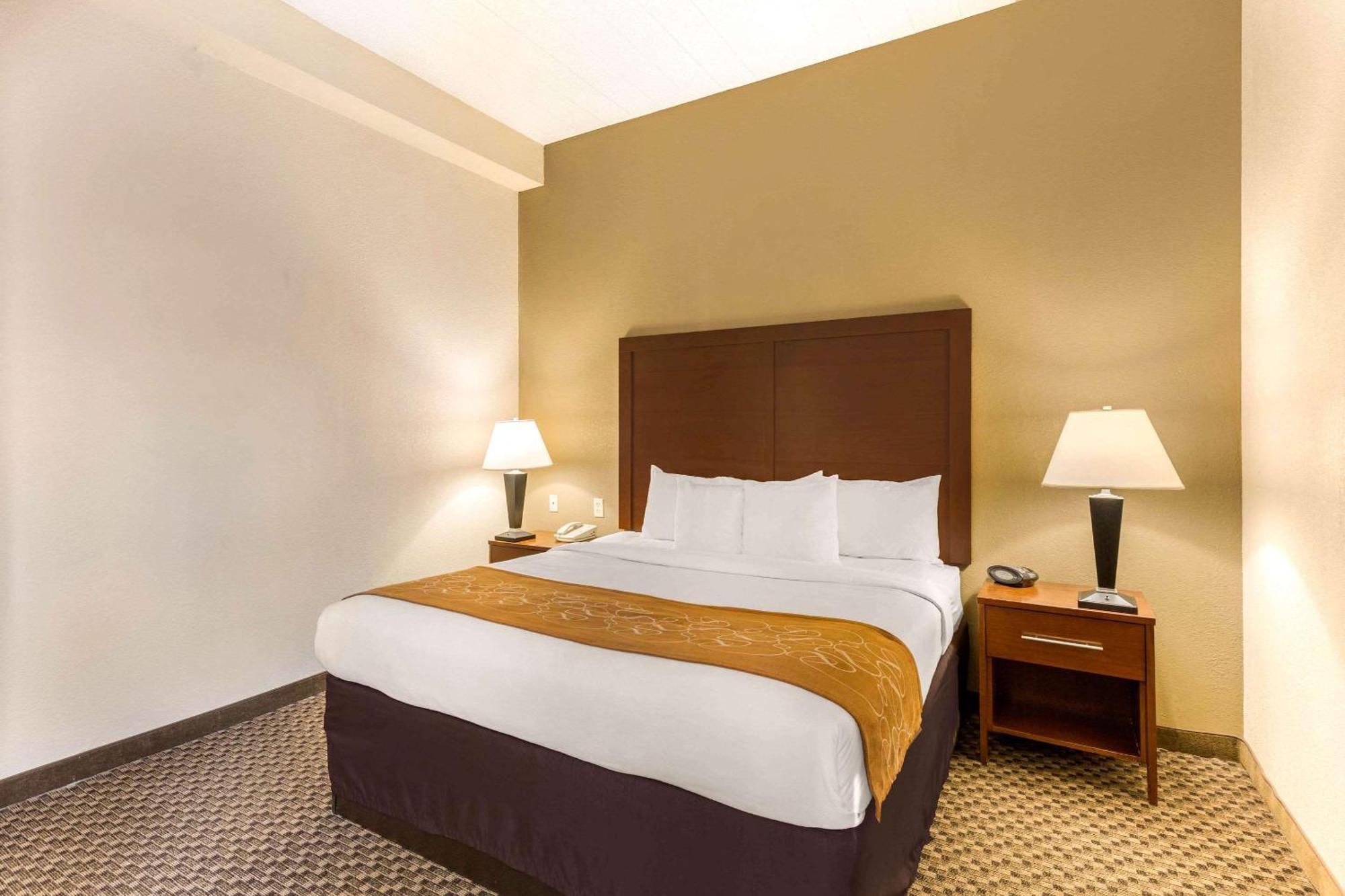 Elkridge Comfort Suites Columbia Gateway מראה חיצוני תמונה
